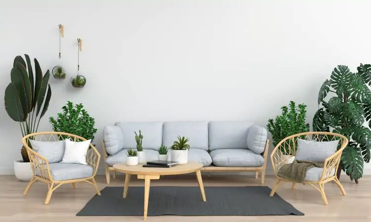 Sala com plantas espalhadas de maneira harmoniosa